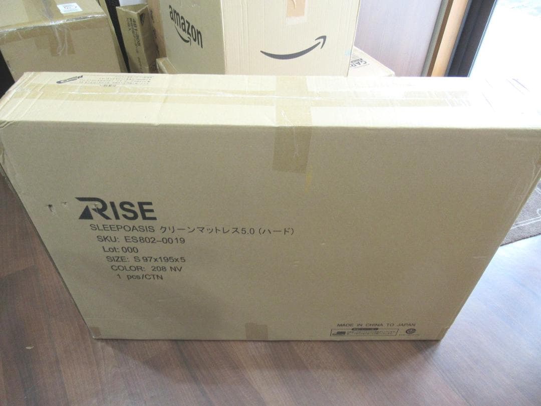 RISE(ライズ) スリープオアシス クリーンマットレス5.0 シングル