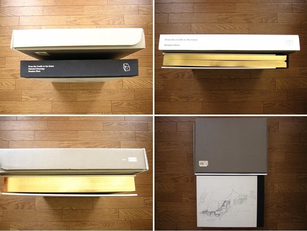 From the Cradle to the Grave　ダミアン・ハースト