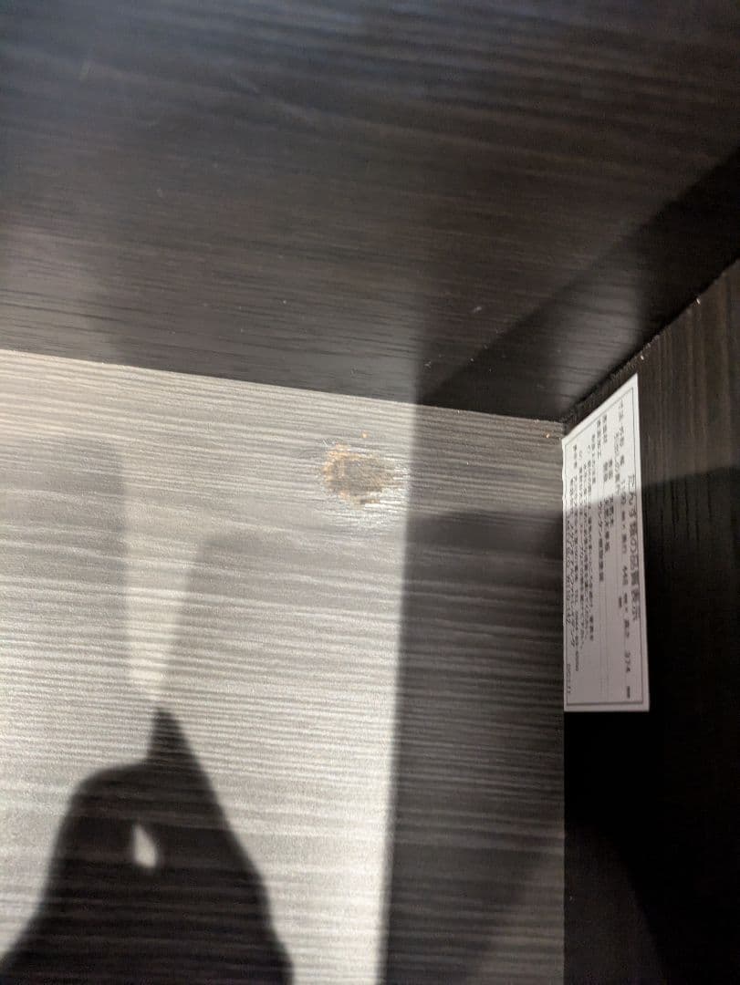 ACTUS　アクタス　テレビボード　SHINE w1100