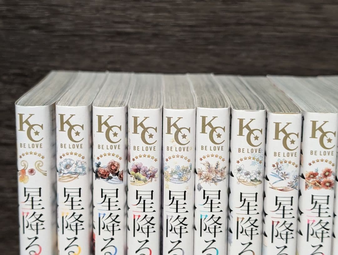 【状態良好】星降る王国のニナ　1〜17巻