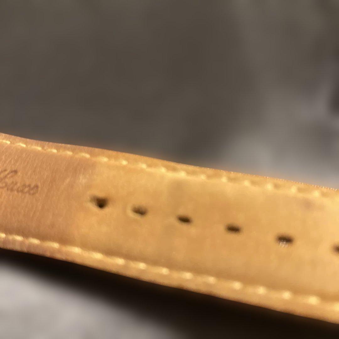 超希少　ピエール・ラニエ腕時計 世界999本限定　レディース　メンズ