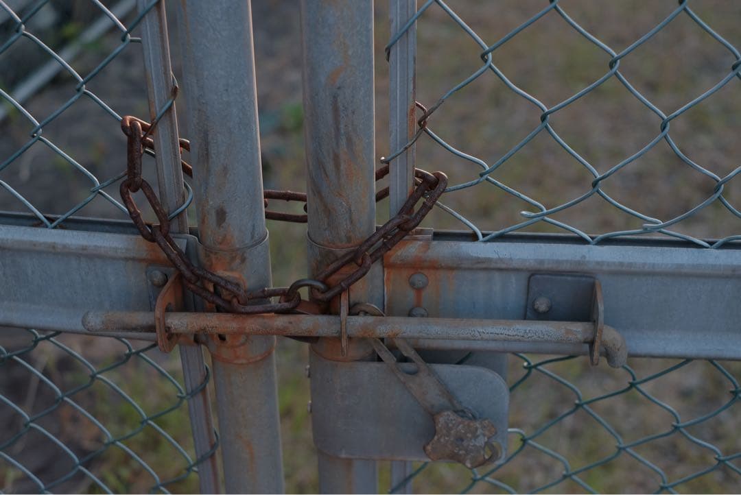 美品　CONTAX Carl Zeiss Planar 50mm F1.4