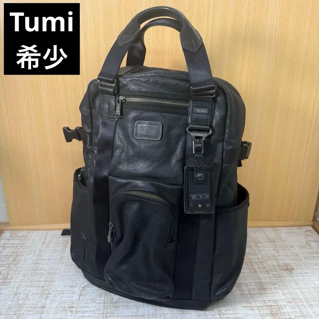 【希少】TUMI アルファブラボー レザーバックパック92380DH2 リュック