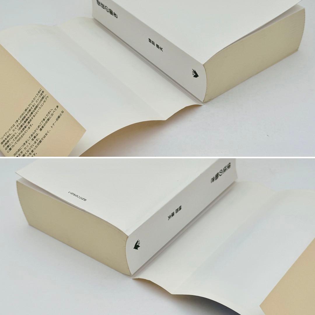 使徒の働き　新約聖書