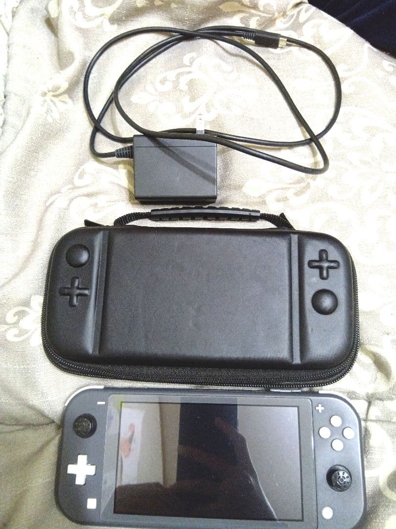 Nintendo Switch Lite 充電器 ケース付き　ジャンク品