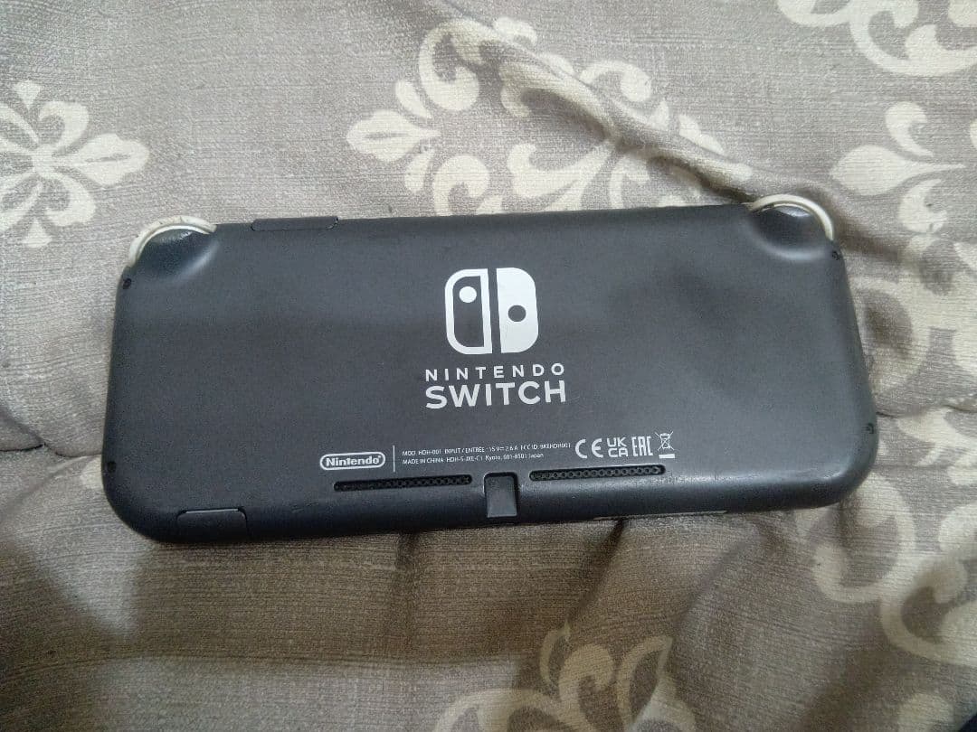Nintendo Switch Lite 充電器 ケース付き　ジャンク品