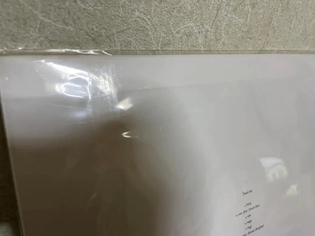 残響のテロル オリジナル サウンドトラック 描き下ろしLPジャケット 2点セット