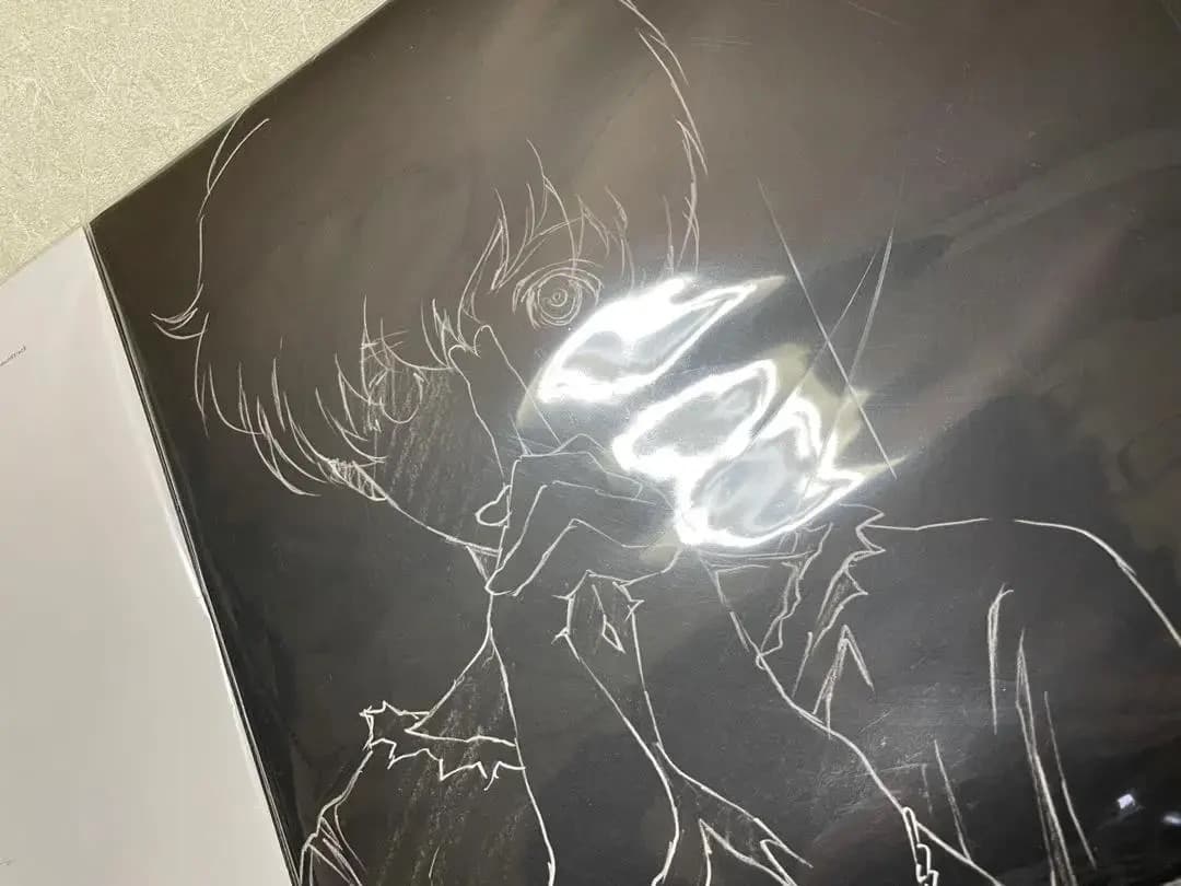 残響のテロル オリジナル サウンドトラック 描き下ろしLPジャケット 2点セット