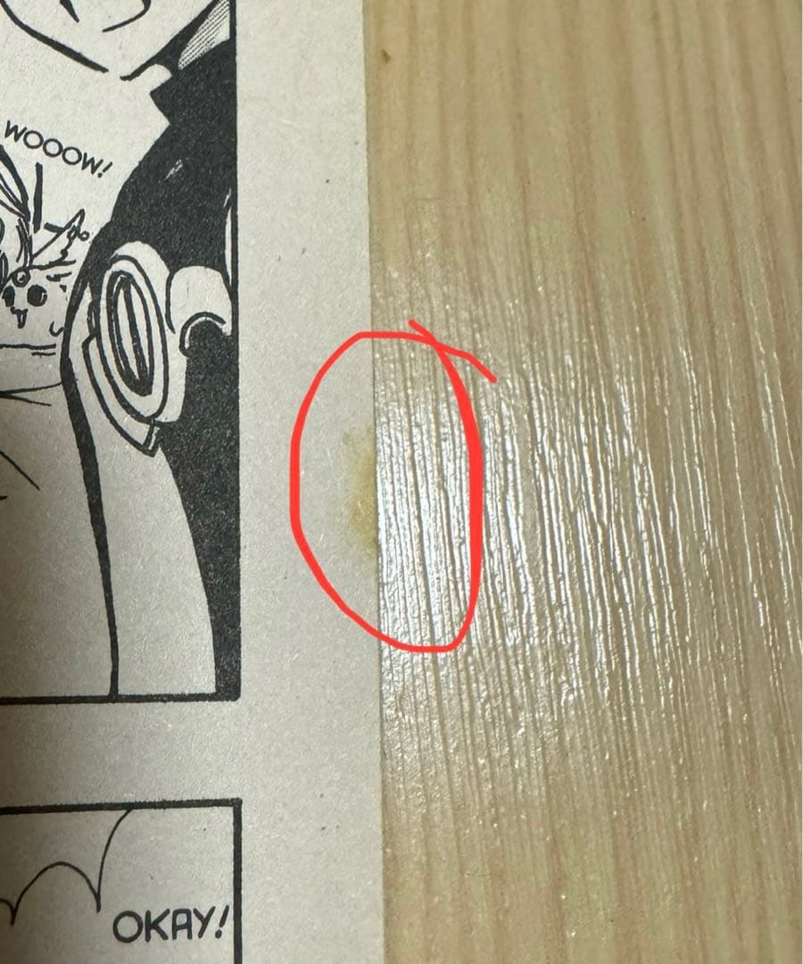 ツバサ-RESERVoir CHRoNiCLE- 英語版　漫画　English