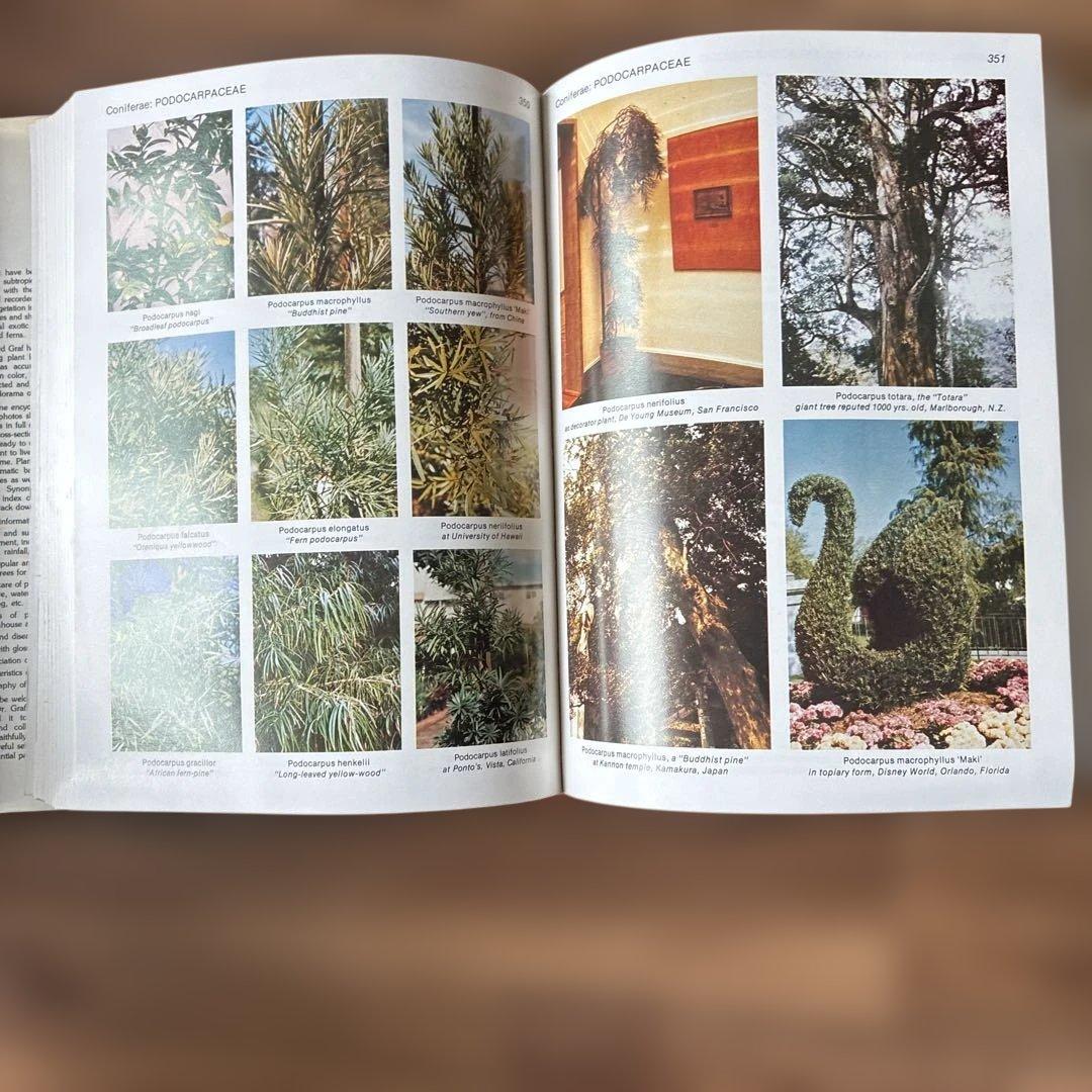 洋書 TROPICA: Exotic Plants and Trees