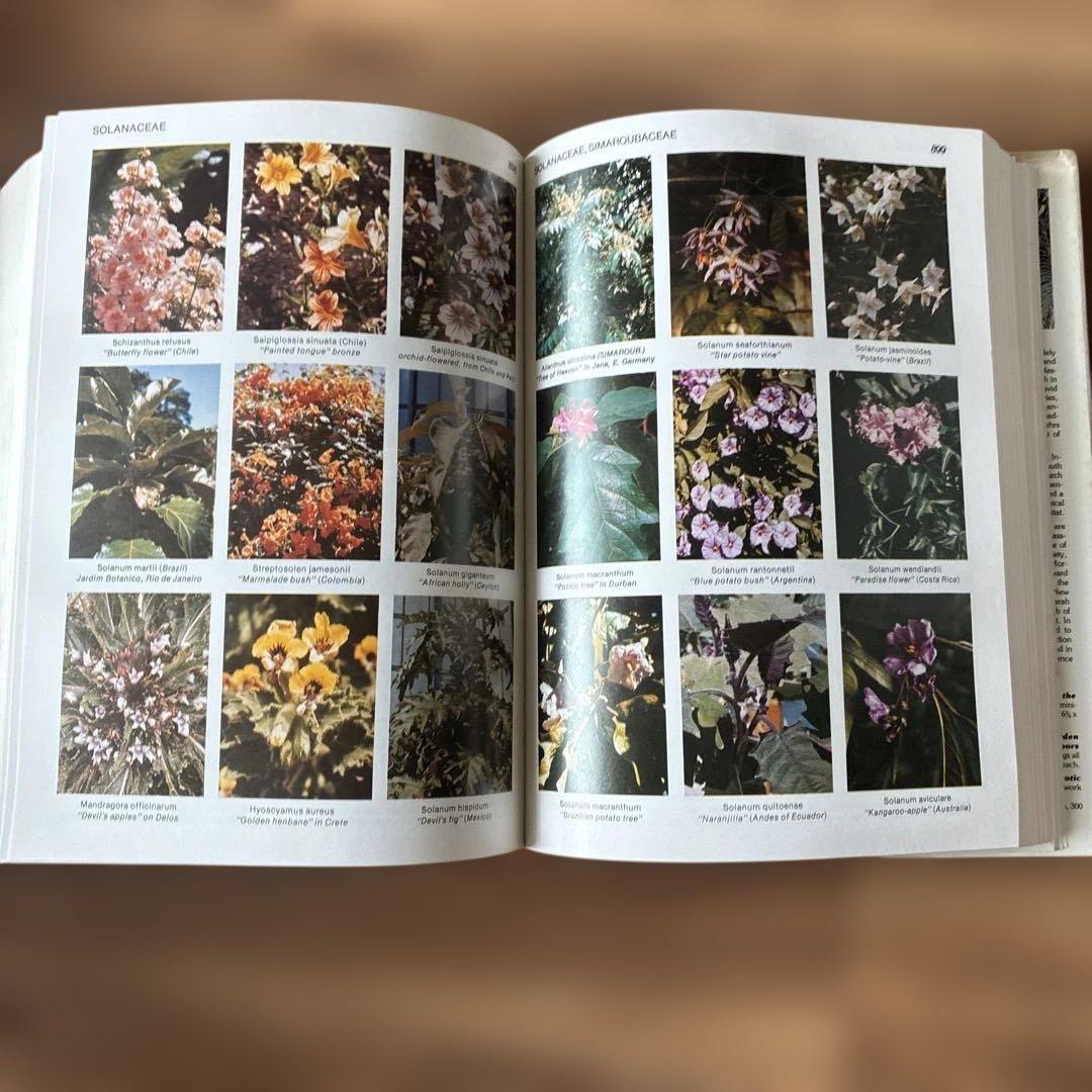 洋書 TROPICA: Exotic Plants and Trees