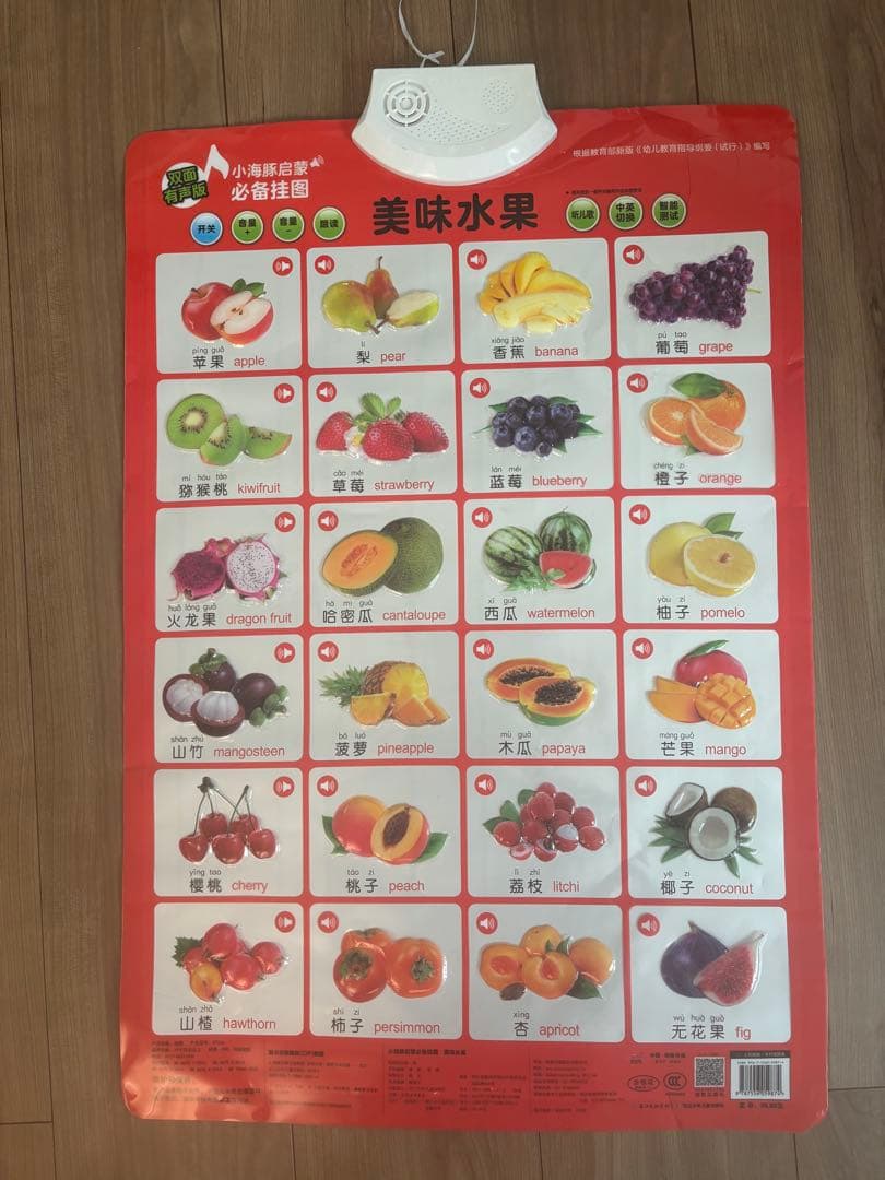 中国語•英語　音声つき教材10枚セット（両面）　子ども向け　知育ボード