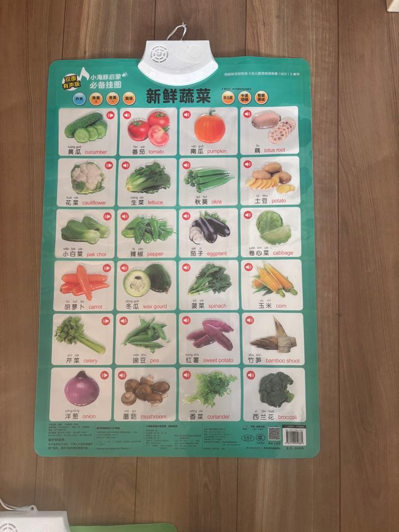 中国語•英語　音声つき教材10枚セット（両面）　子ども向け　知育ボード