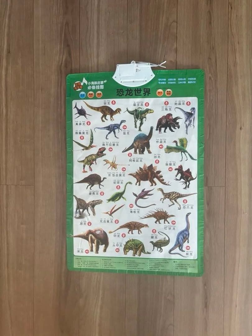 中国語•英語　音声つき教材10枚セット（両面）　子ども向け　知育ボード