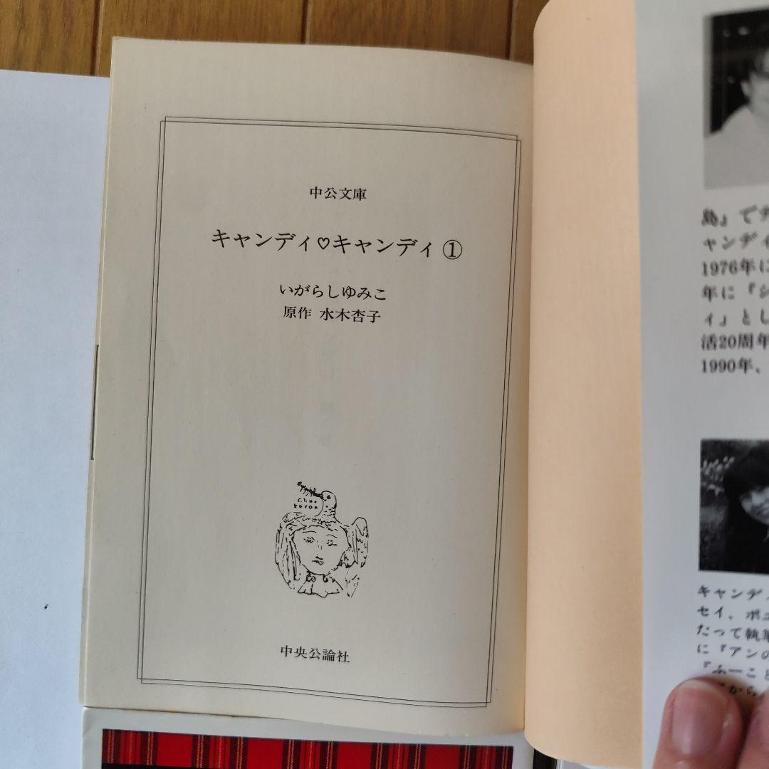 キャンディ♡キャンディ 　文庫本　全巻　セット