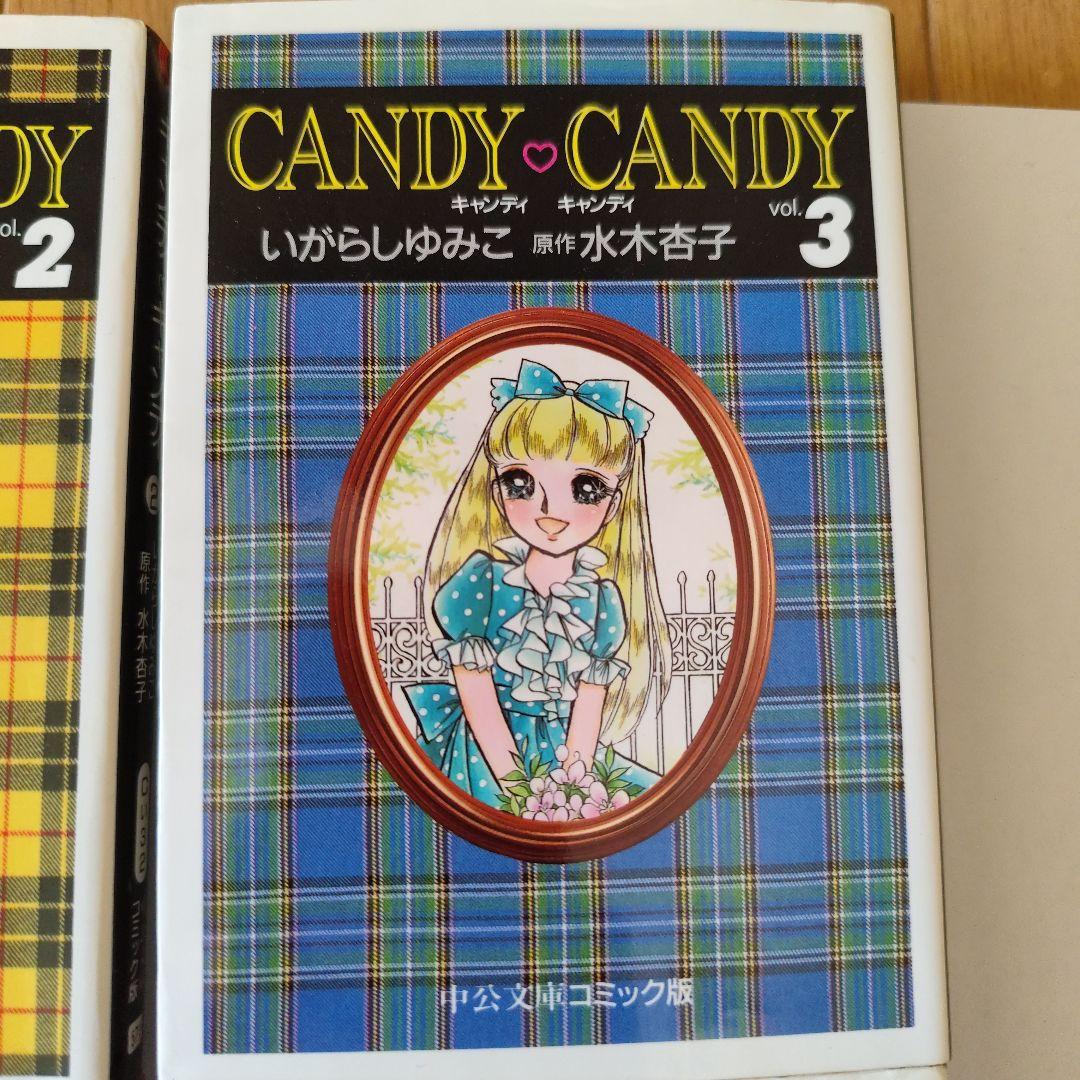 キャンディ♡キャンディ 　文庫本　全巻　セット