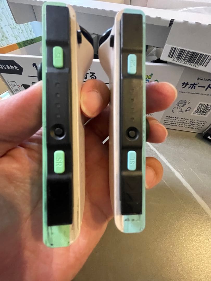 【撫子】Nintendo Switch あつまれ どうぶつの森セット