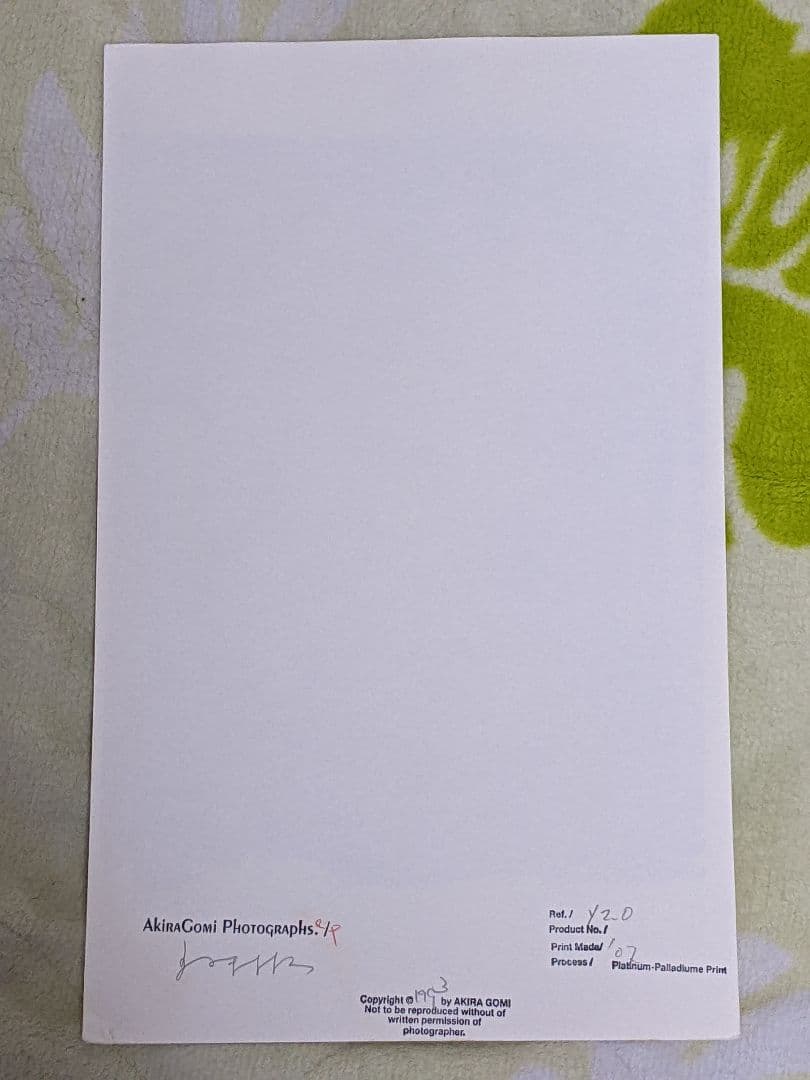 五味 彬「 Yellows 」特装版 175部 プリント付き