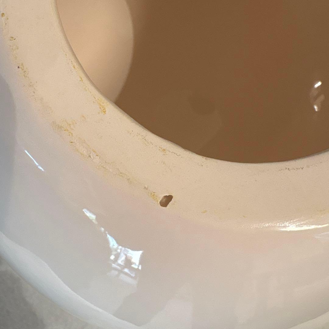 ドクターコパ　大天下玉