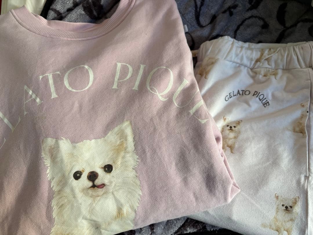ジェラートピケ　DOG柄　チワワ　セットアップ　プルオーバー・パンツ