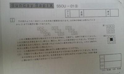 サピックス ＳＳ特訓＊６年＊算数／桜蔭 対策プリント＊全４９回完全版～激レア貴重