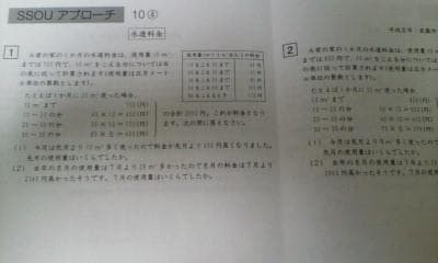 サピックス ＳＳ特訓＊６年＊算数／桜蔭 対策プリント＊全４９回完全版～激レア貴重