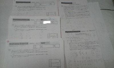 サピックス ＳＳ特訓＊６年＊算数／桜蔭 対策プリント＊全４９回完全版～激レア貴重