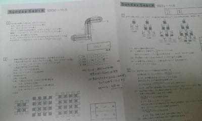 サピックス ＳＳ特訓＊６年＊算数／桜蔭 対策プリント＊全４９回完全版～激レア貴重