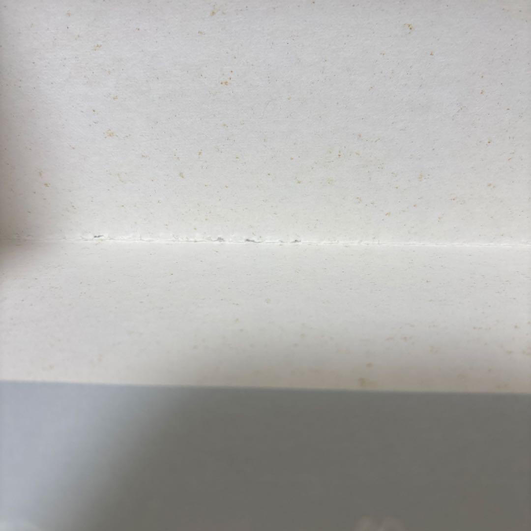 ピーターラビットの絵本☆(贈り物セット) ☆ 全24冊　福音館書店