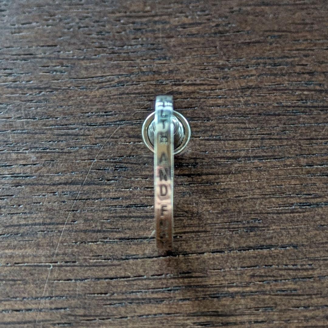 CAREERING x NEIGHBORHOOD ピアス シルバー 301