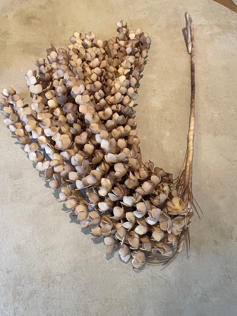 boconcept ボーコンセプト アーティフィシャルフラワー（造花）5本セット