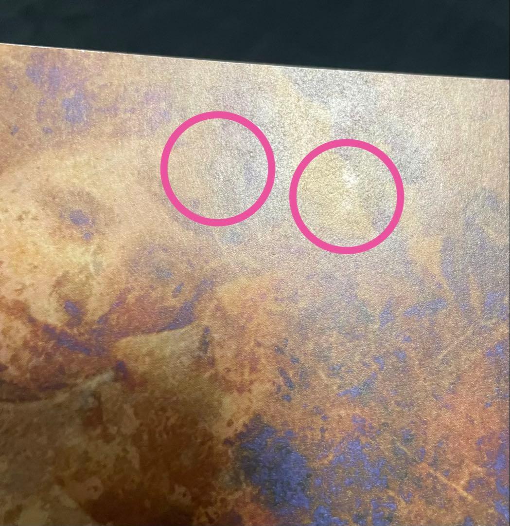 は*。様 Voyage 初回盤 / MALICE MIZER マリスミゼル