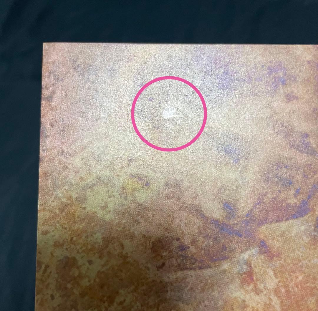 は*。様 Voyage 初回盤 / MALICE MIZER マリスミゼル