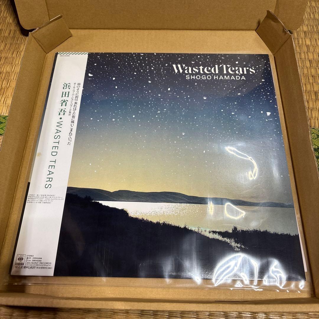 浜田省吾　レコード　WASTED TEARS