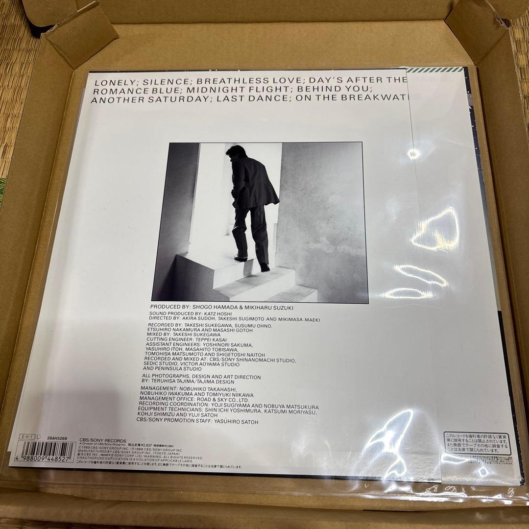 浜田省吾　レコード　WASTED TEARS