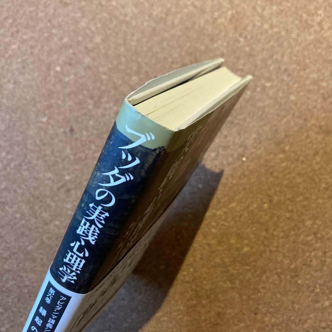 ブッダの実践心理学 第6巻 縁起の分析