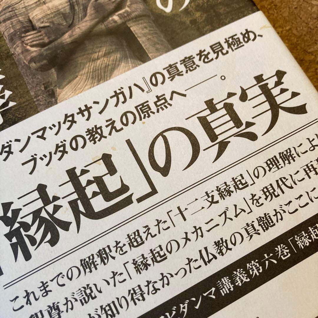 ブッダの実践心理学 第6巻 縁起の分析