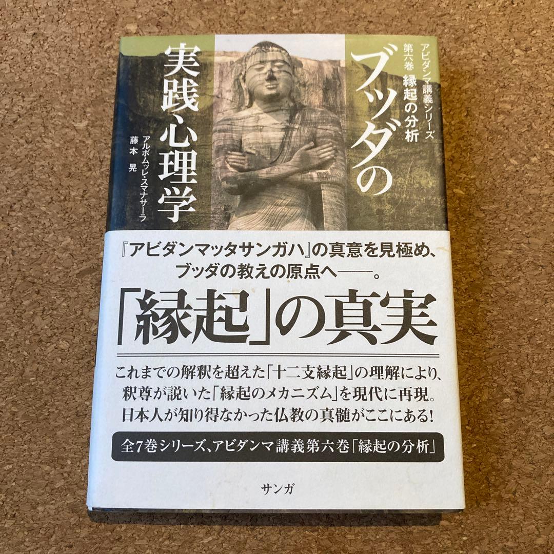 ブッダの実践心理学 第6巻 縁起の分析