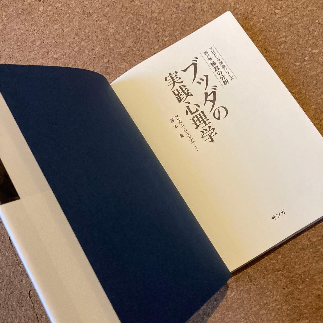 ブッダの実践心理学 第6巻 縁起の分析