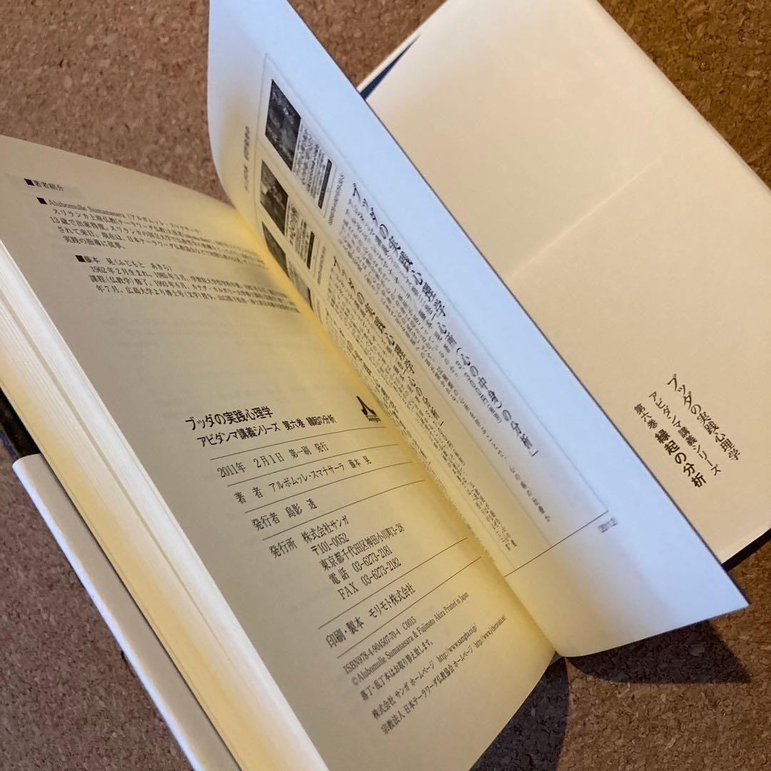 ブッダの実践心理学 第6巻 縁起の分析