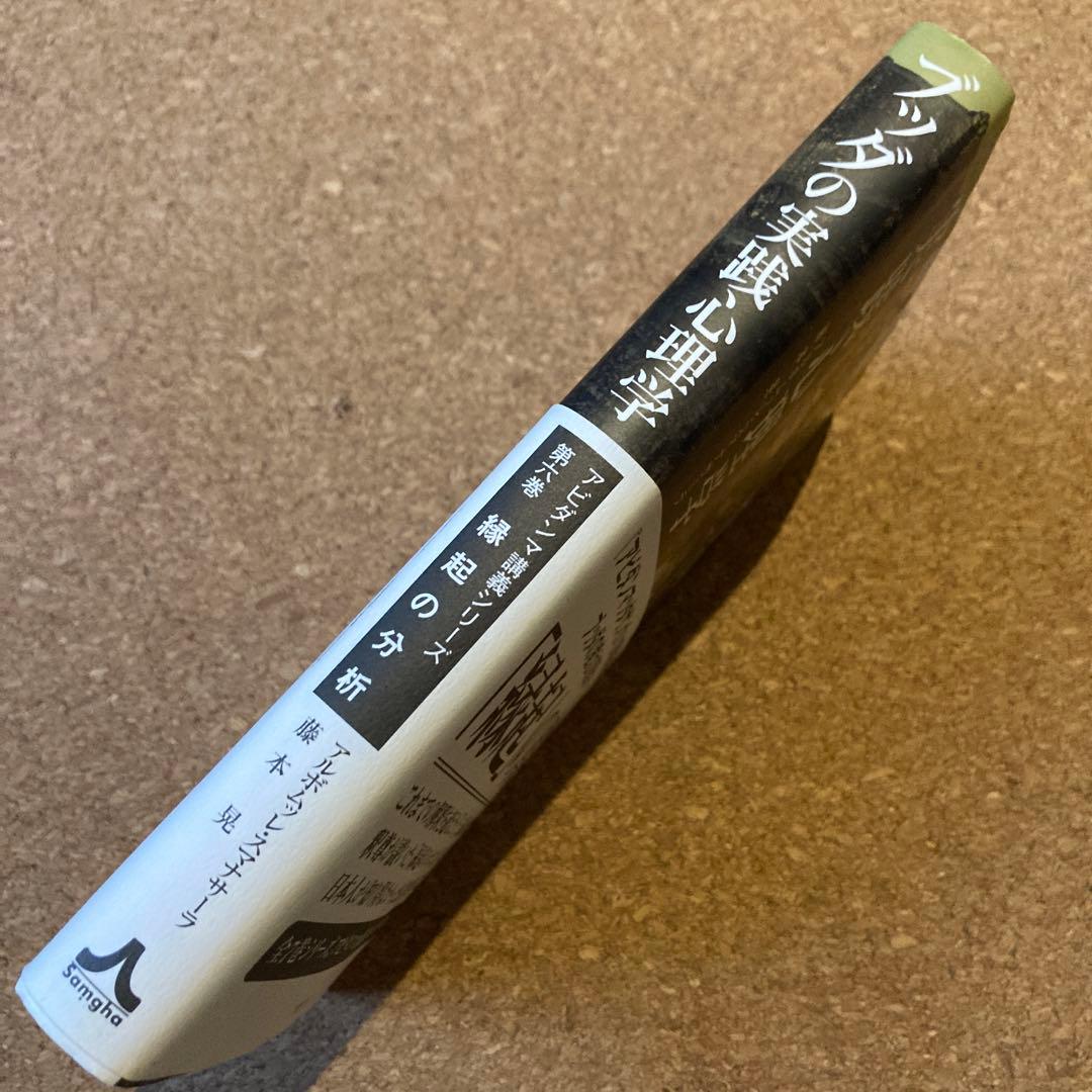 ブッダの実践心理学 第6巻 縁起の分析