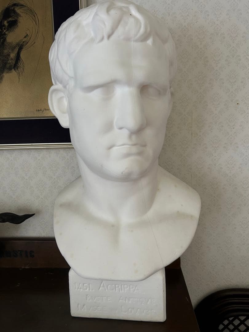 Acrippa 石膏像バスト像 1451