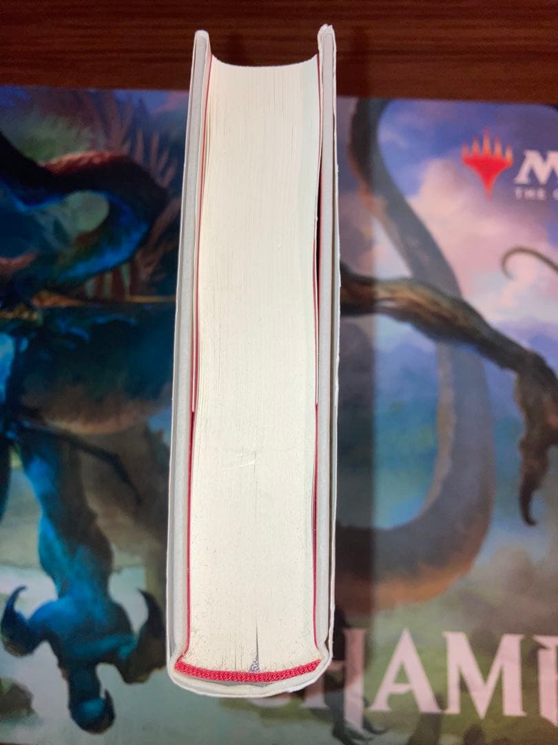 ハミッド・ダバシ　ポスト・オリエンタリズム