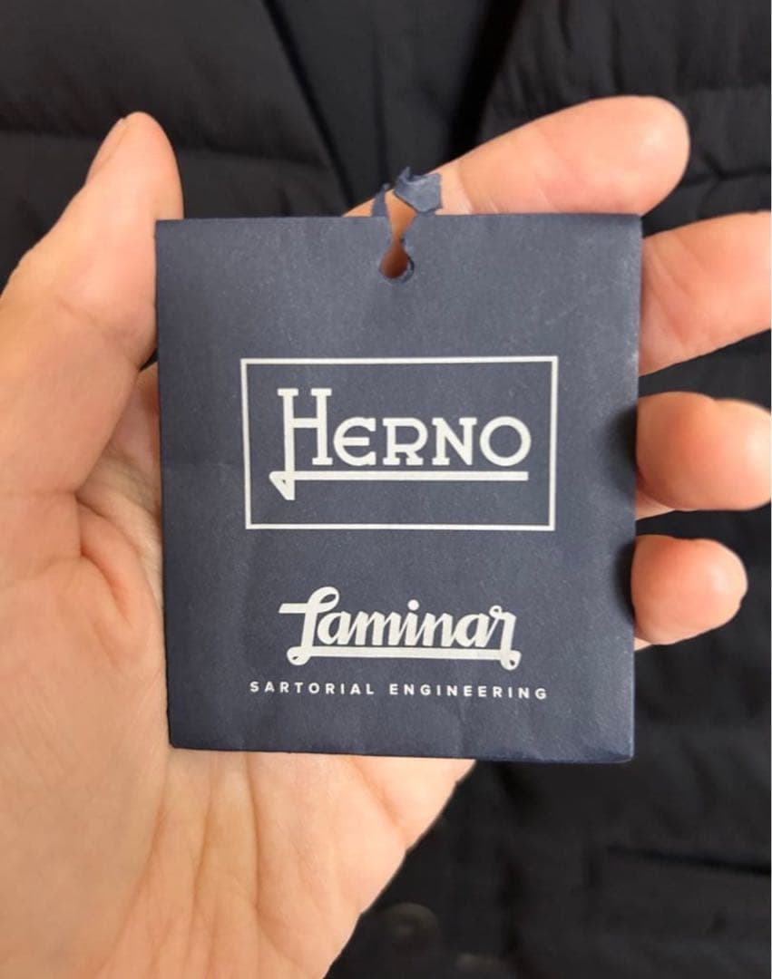 Herno ブラック ダウンベスト(ダウンジレ) ヘルノ　サイズ44 Sサイズ