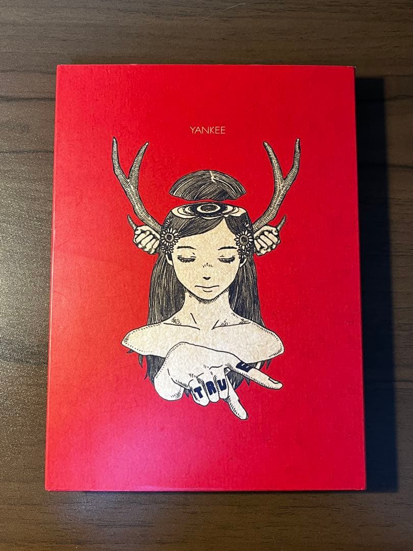 米津玄師 YANKEE 初回限定画集版