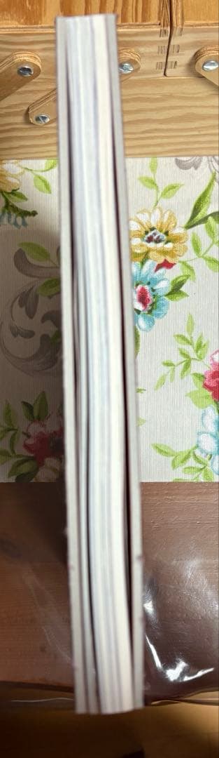 菅田将暉　小松菜奈　写真集　FF0921