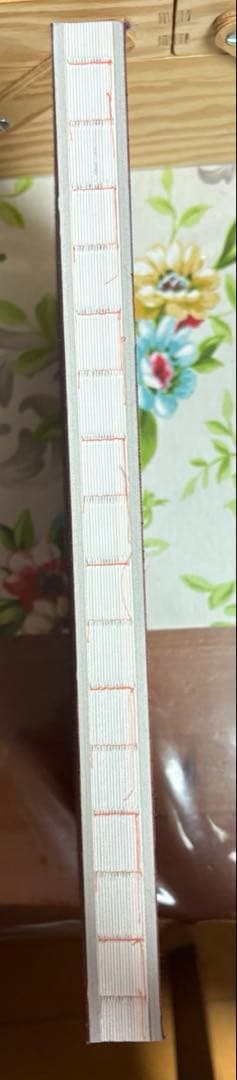 菅田将暉　小松菜奈　写真集　FF0921