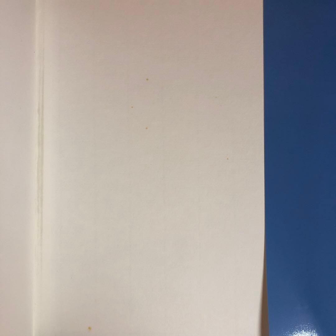 (初版) Bruce Davidson - In Color (洋書)