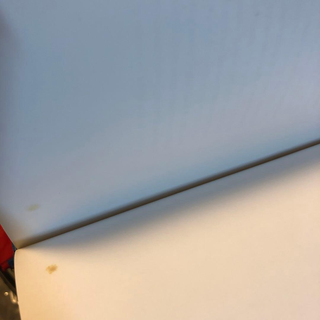 (初版) Bruce Davidson - In Color (洋書)