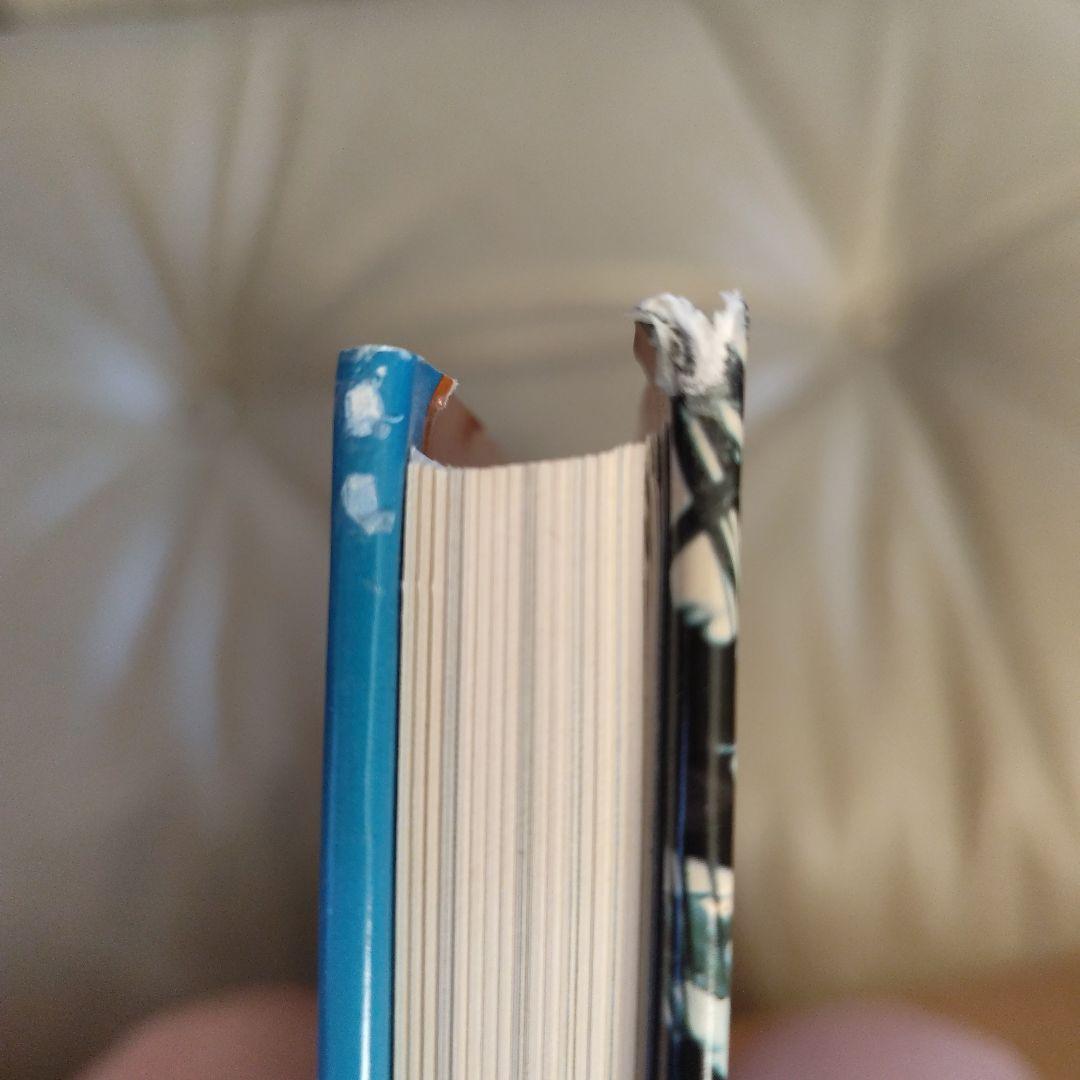 ジュリウス シェルマン /パームスプリングス